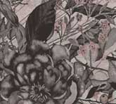 AX011457-1001