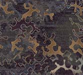 EW005351-9N1