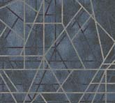 EW005446-9N1